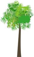 graphic palm tree palm tree sea