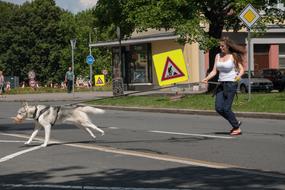 Girl and Dog Run