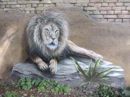 Lion Wall mural Art