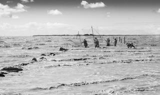Fishermen Carrelets Sea