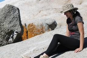 Penguin Beach