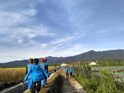 Kids, walking on the ceremony, among the colorful and beautiful fields and mountains in Indonesia