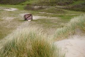 Dune Sand Island