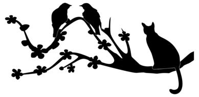cat animal feline birds pet