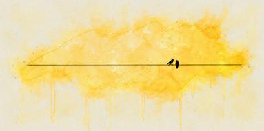 bird yellow plumage nature animal