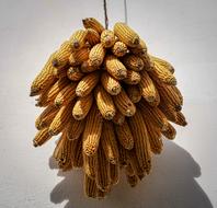 Dried corn decor