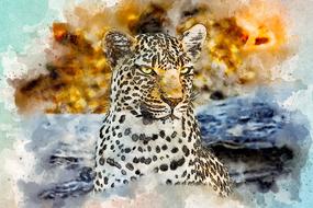 leopard look wild art watercolor