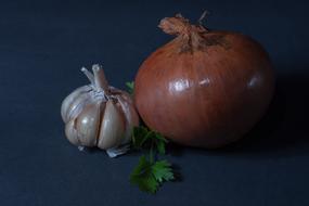 ripe onions and garlic on the table