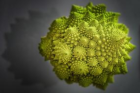 green cauliflower fresh