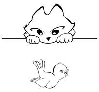 cat and bird