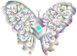 butterfly insect wings animal