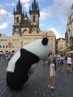 Prague Bear Panda