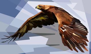 animal colorful decoration eagle
