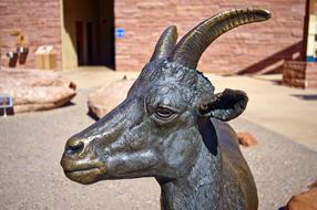 Bronze Bighorn Ewe Statue artwork