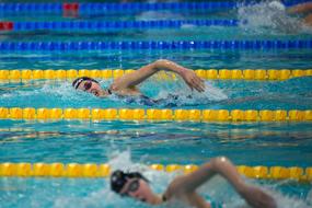 Swimming Sport Pool