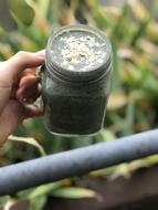 healthy sweet drink
