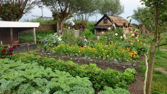 nice garden at home
