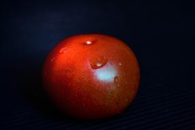washed fresh tomato