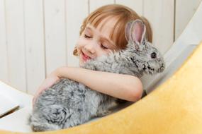 Rabbit Hare and Baby portrait