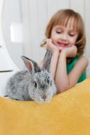 Rabbit Hare Baby