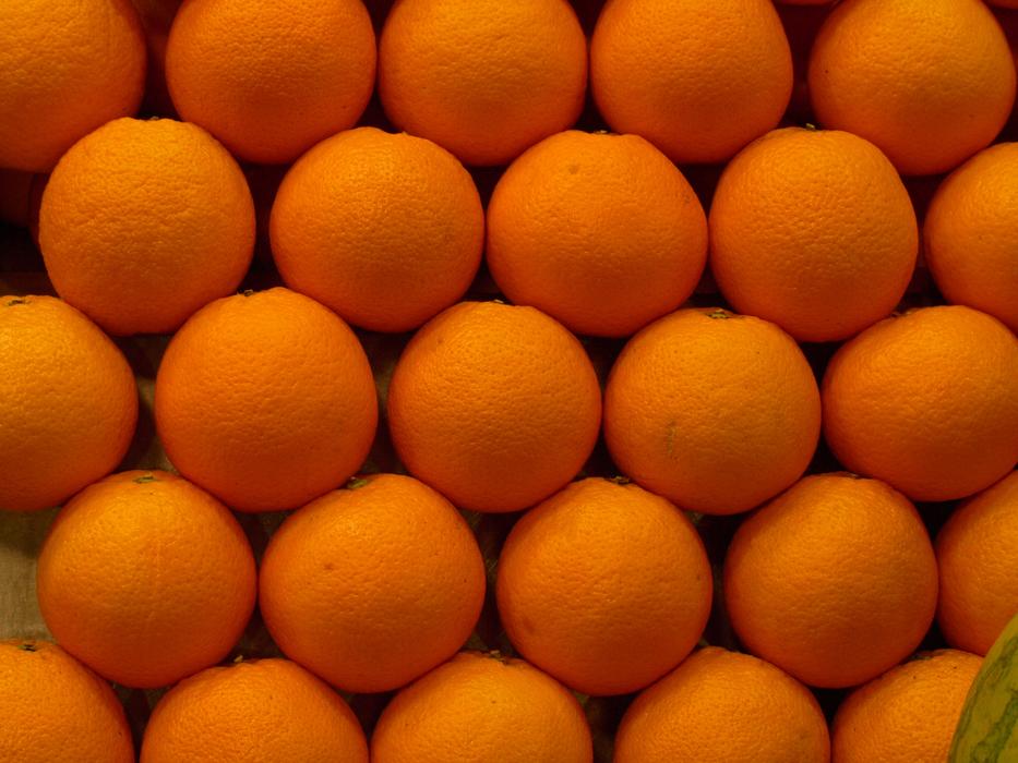 wall of ripe oranges