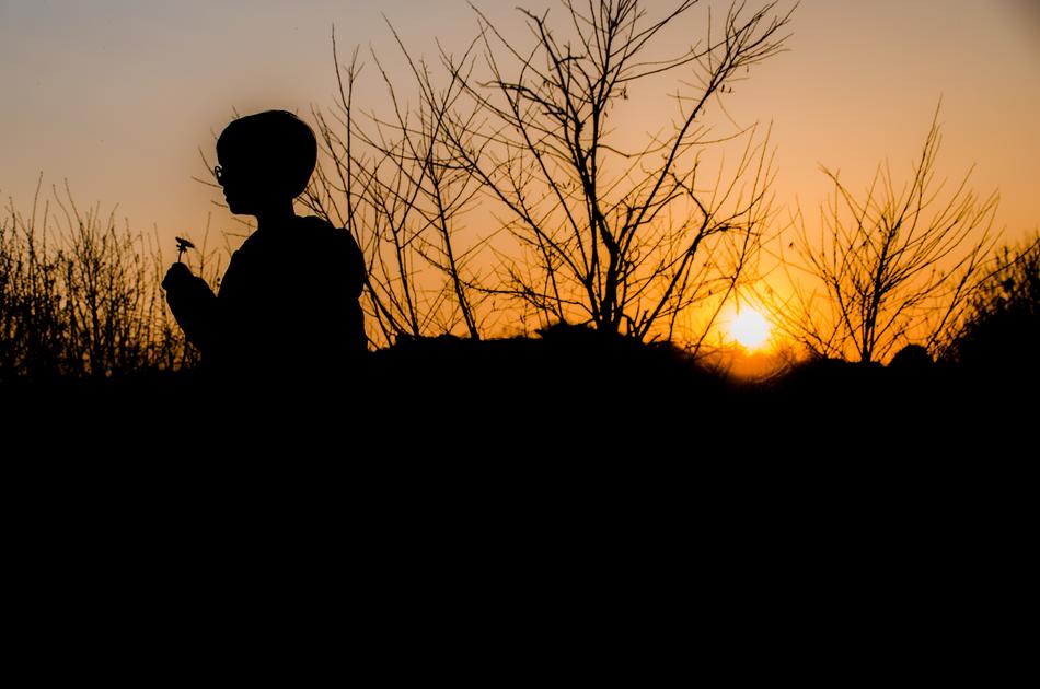 Sun Sunset Landscape