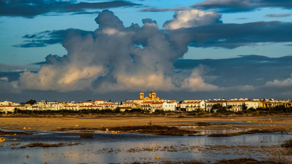 Town Lake Landscape