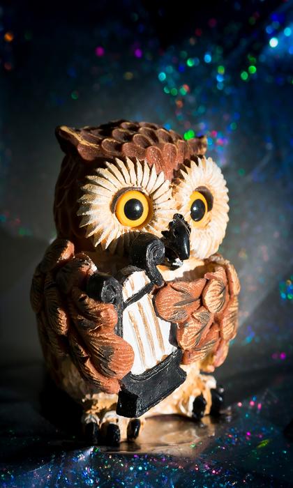Eagle Owl Bird