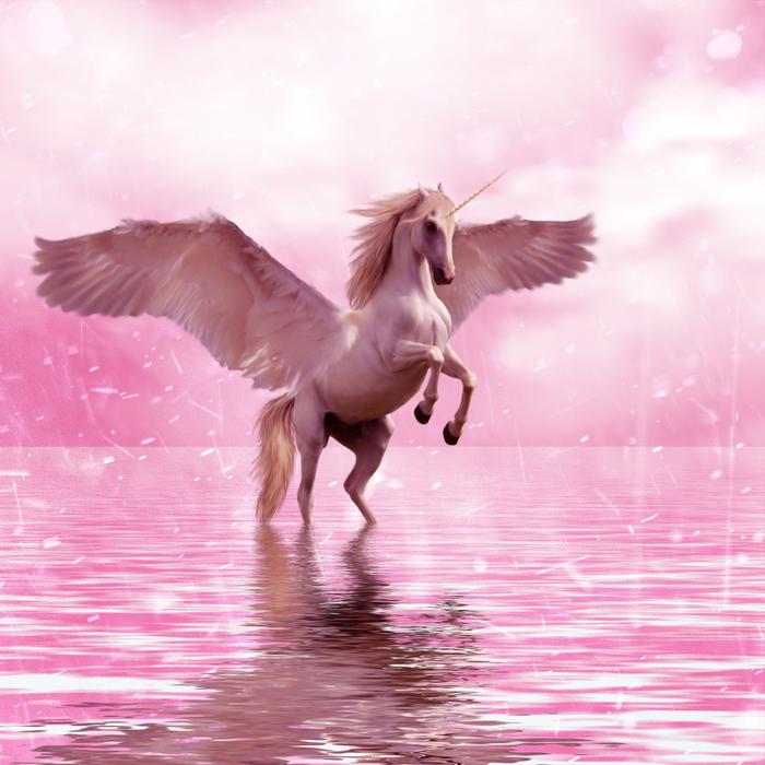 Fantasy Design Magic Fairy