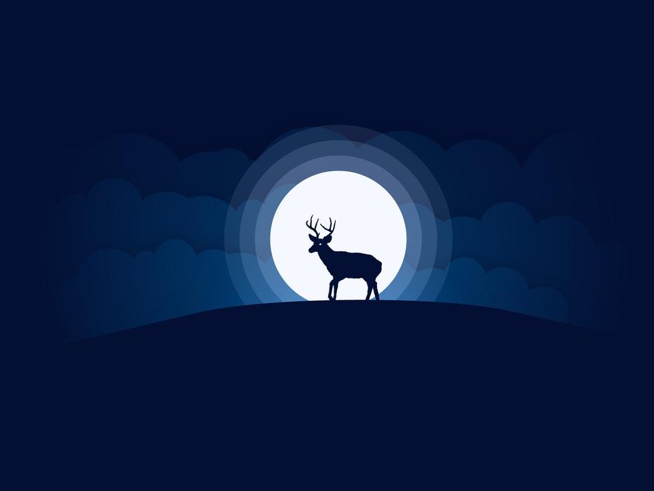 Moon Deer Sky