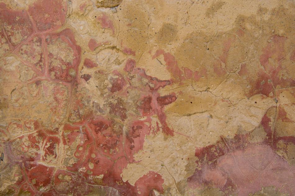 Texture Background
