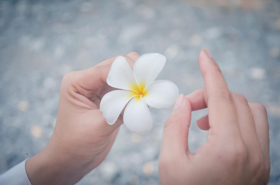 White Flowers Porcelain