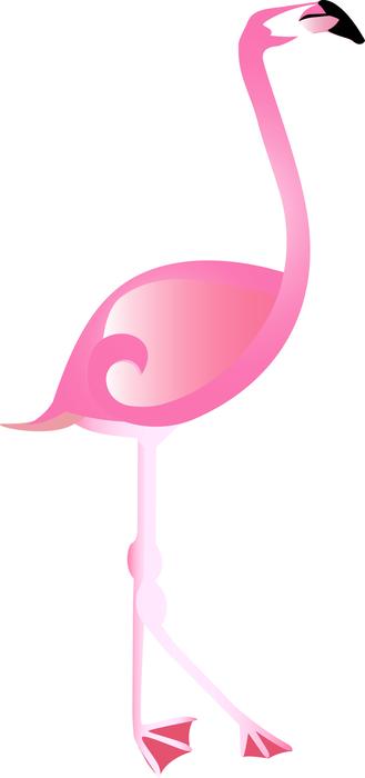 graphic flamingo pink bird