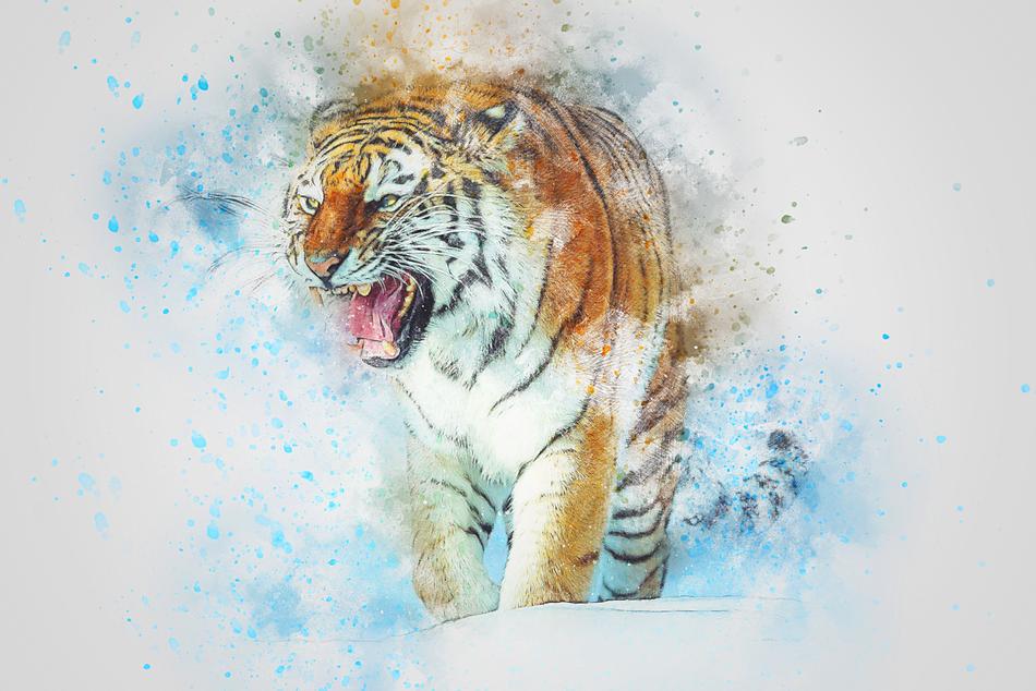 tiger roar animal art abstract