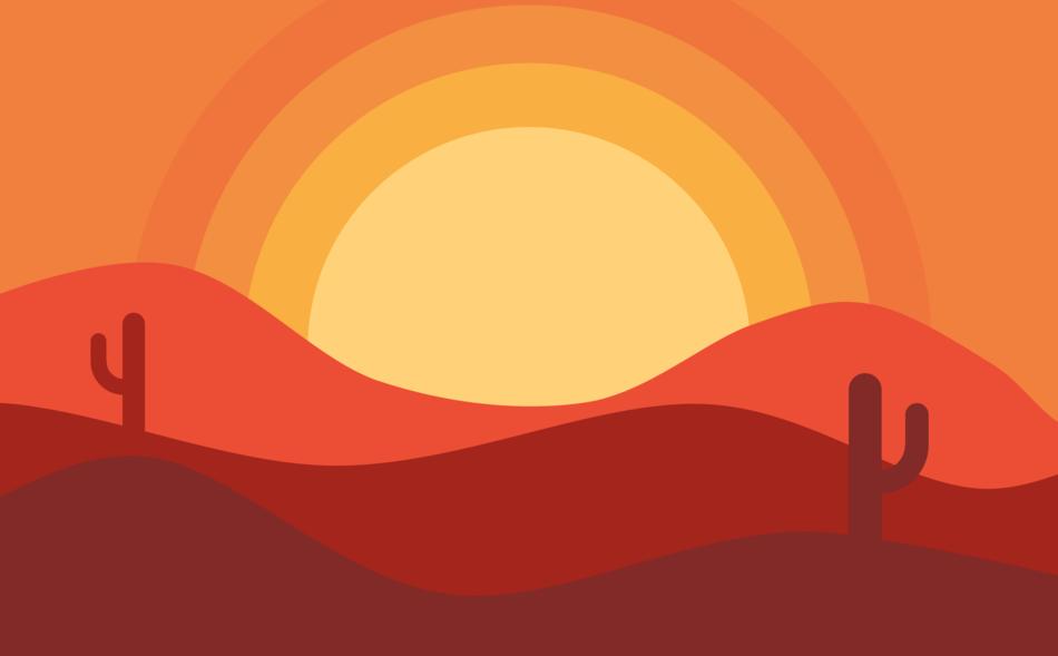 sunset offer desert cactus
