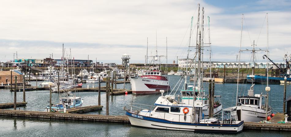 Fishing Fleet In Port