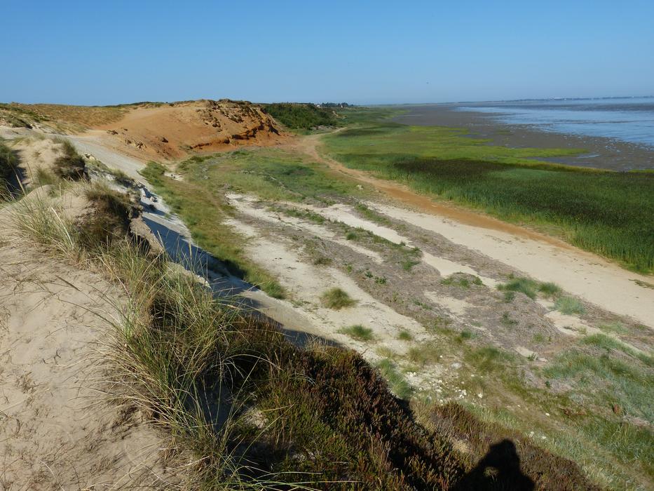 Sylt Island North Sea