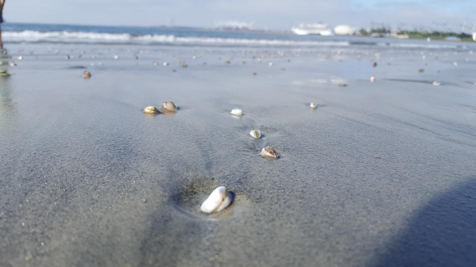 Beach Water Rocks
