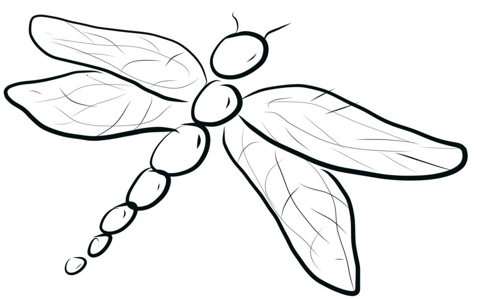 dragonfly bug insect whimsical