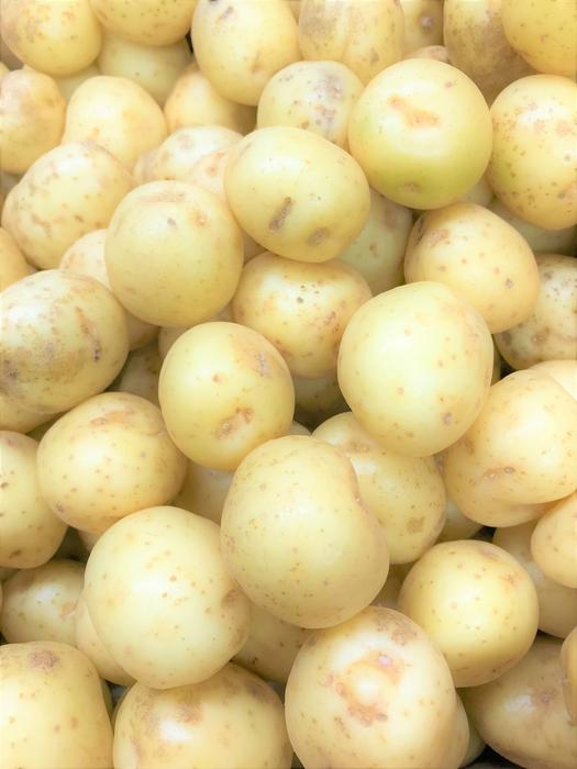 tasty peeled potato harvest