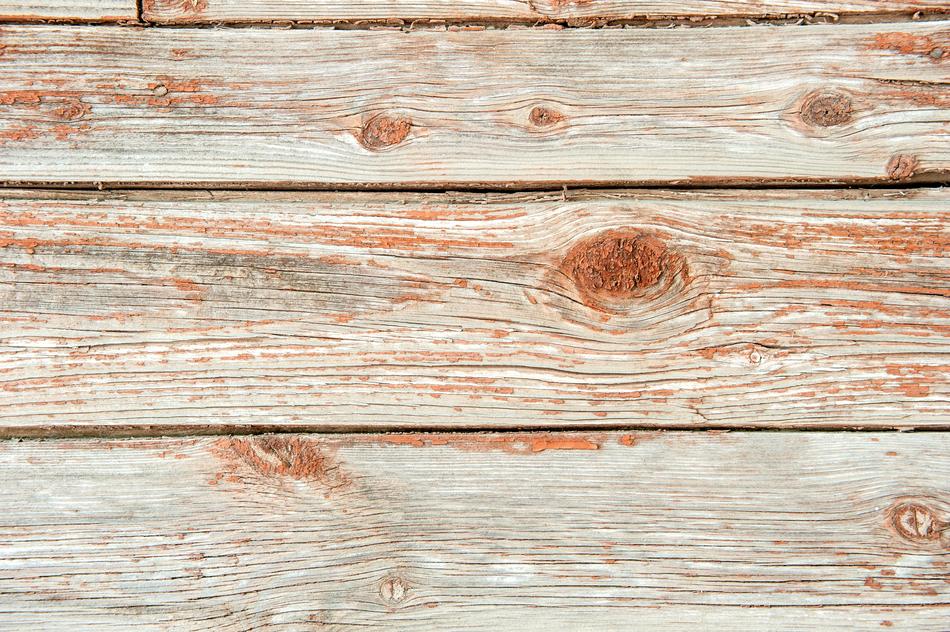Old Tree Orange Boards