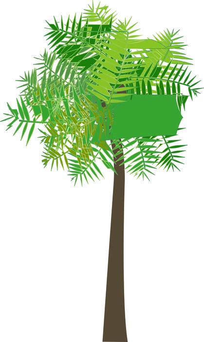 graphic palm tree palm tree sea