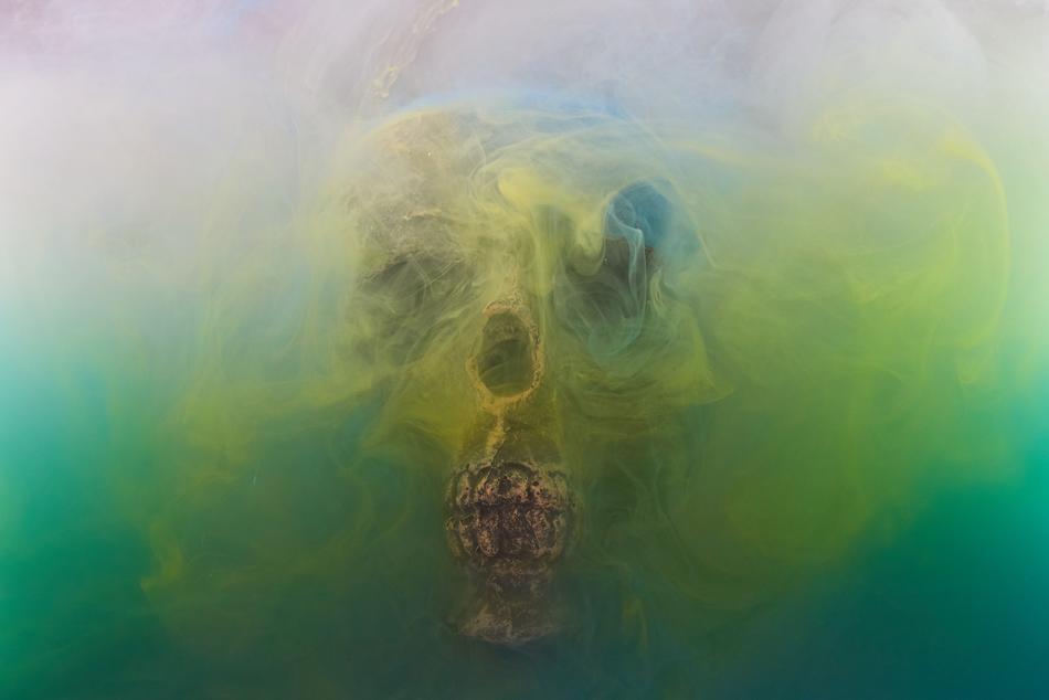 Colorful, dry skull at gradient green background