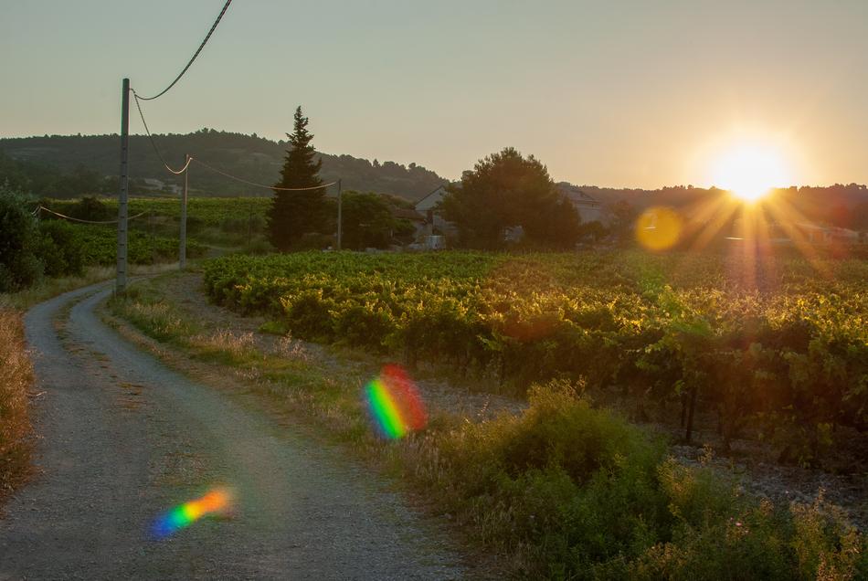 Cairanne French Vaucluse