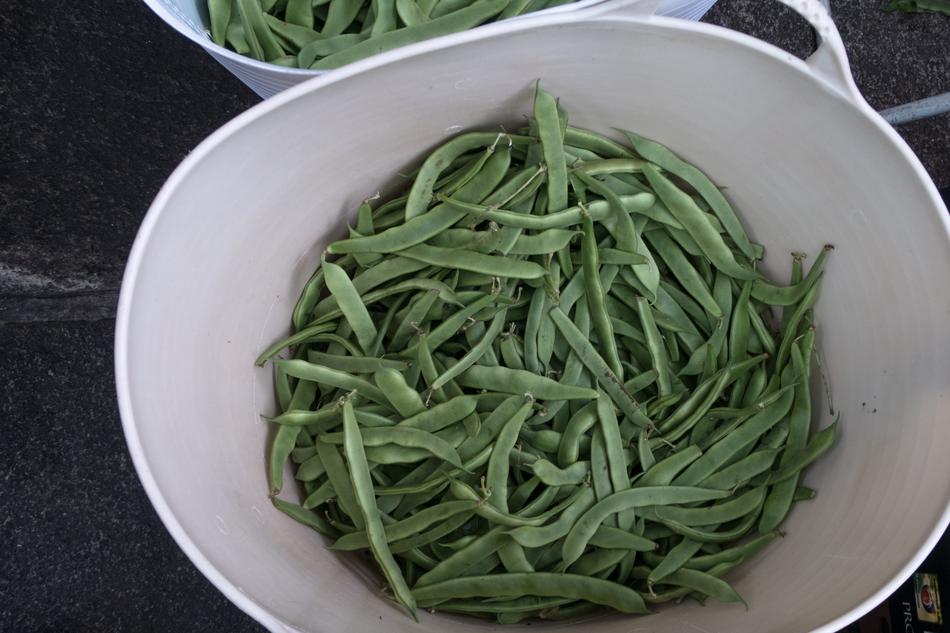 ripe green peas in a white plate