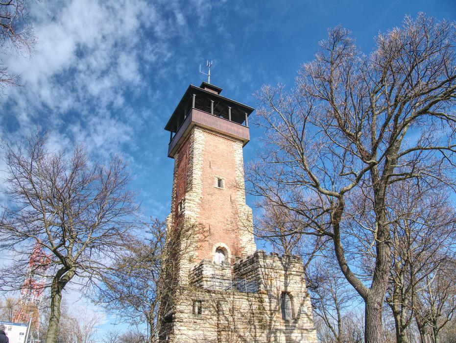 autumn trees and historical tower