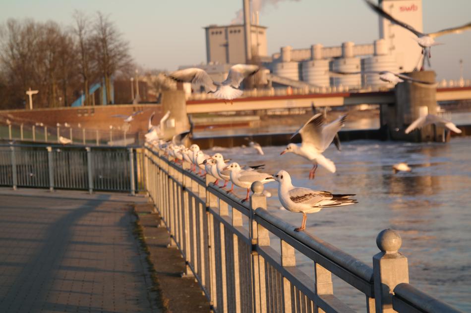 Bremen Weser Weir