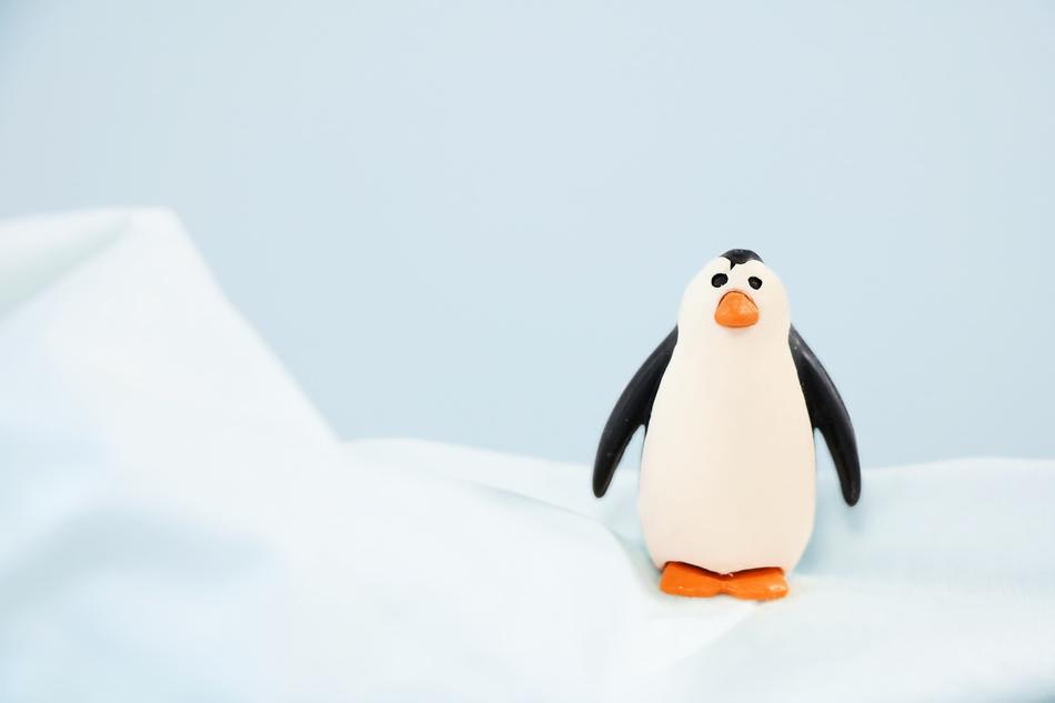 Penguin Snow Bird