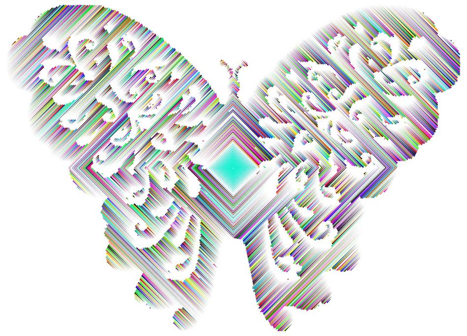 butterfly insect wings animal