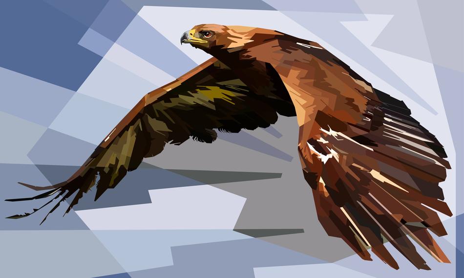 animal colorful decoration eagle
